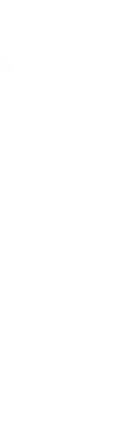 banner shape 1